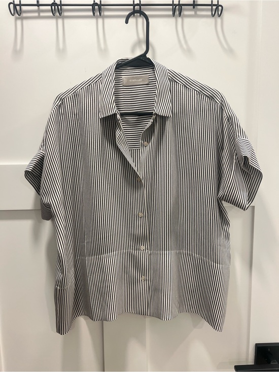 Everlane Tops - Everlane boxy shirt in washable silk